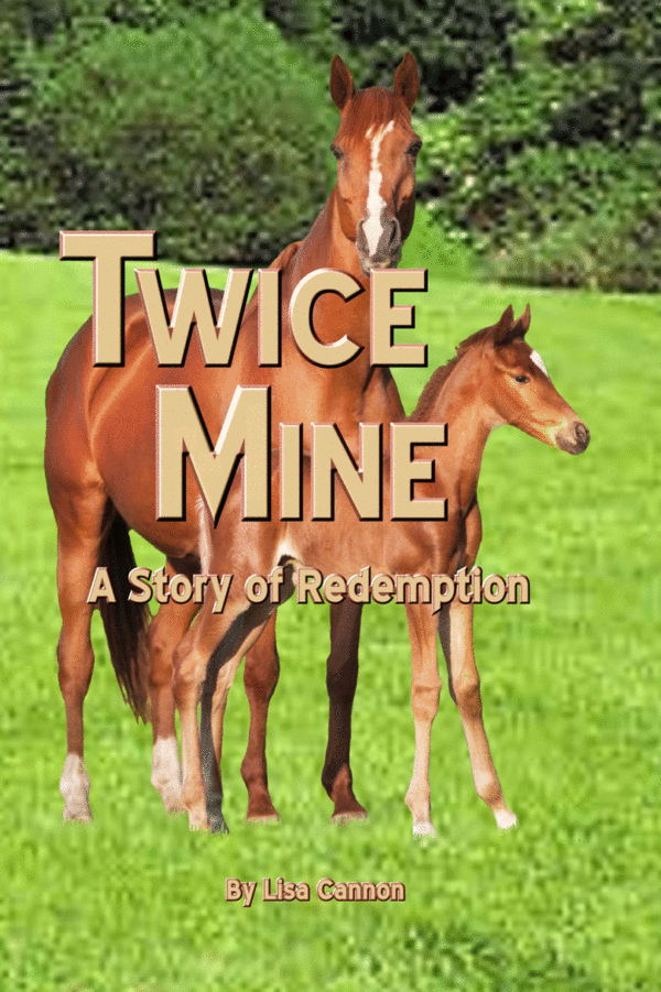 Twice Mine