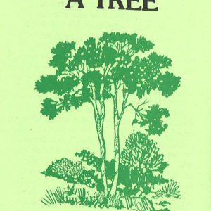 Up a Tree
