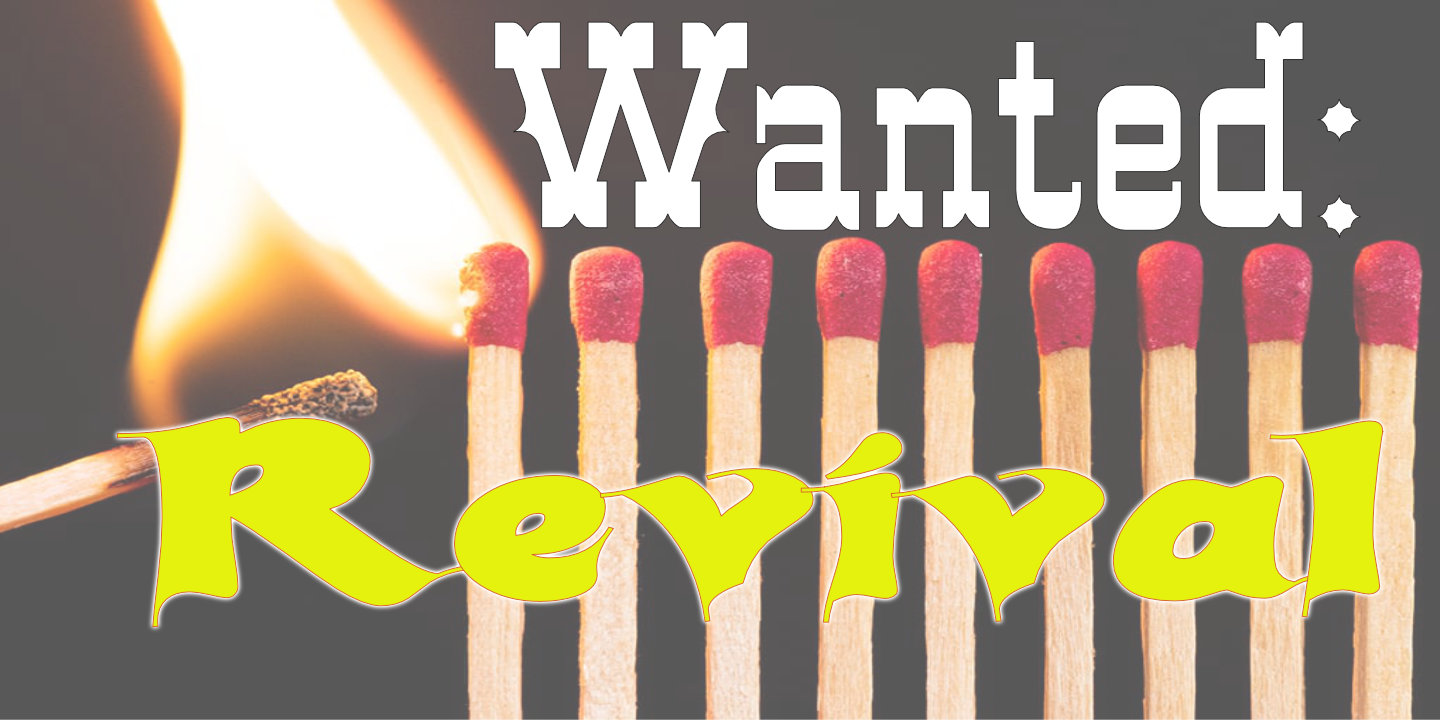 wanted revival
