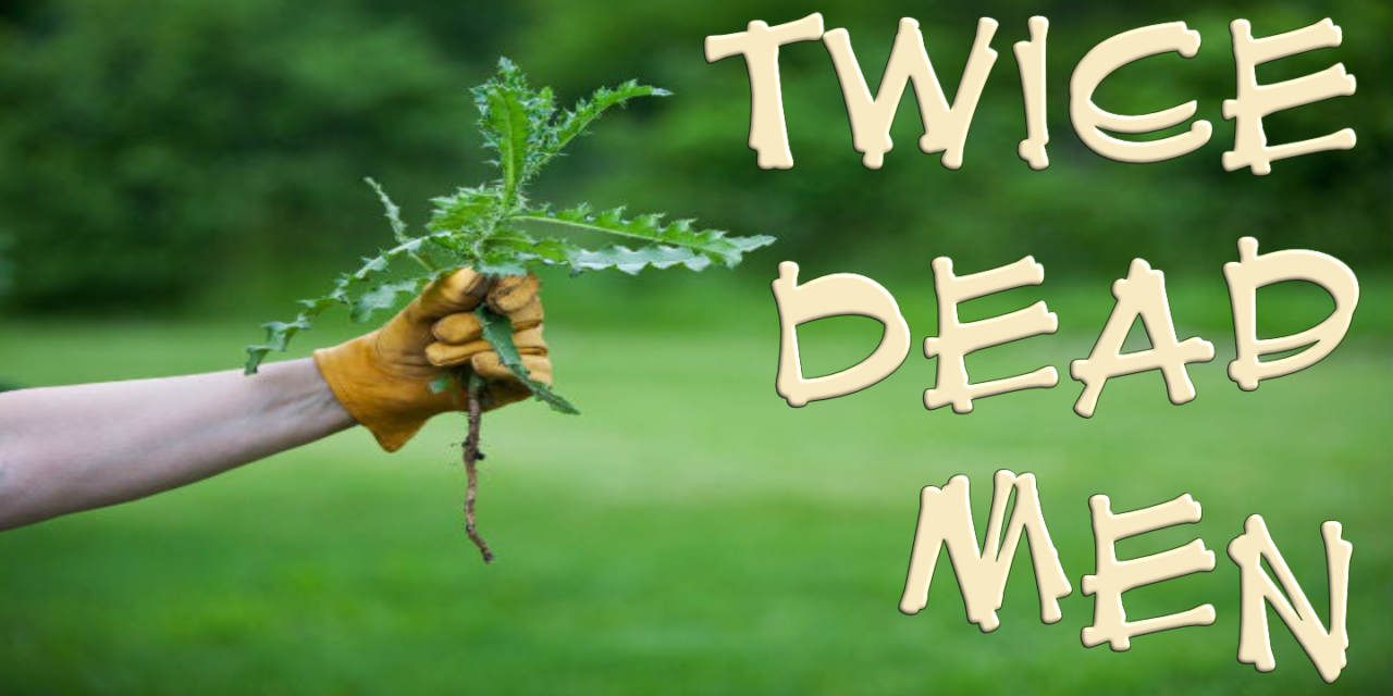 Twice Dead Men Bible Doctrines to Live By