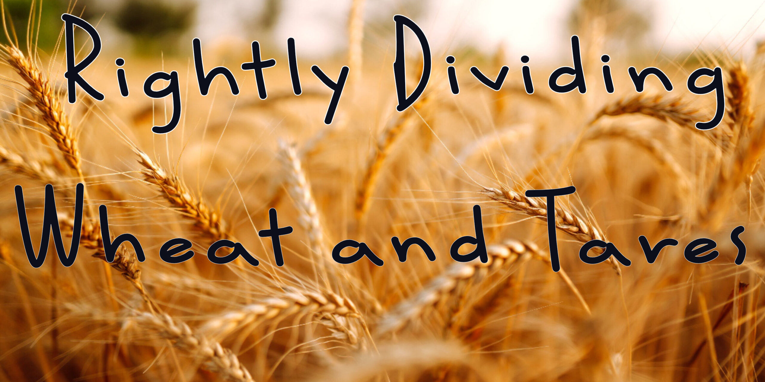 rightly dividing wheat and tares